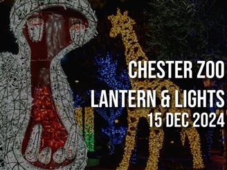 Chester Zoo Lantern & Lights